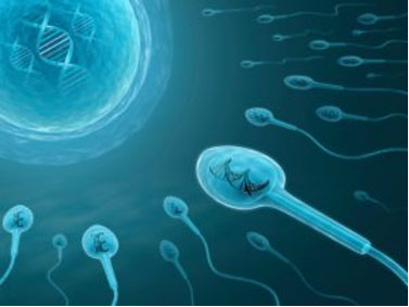 آزمایش آنالیز اسپرم
